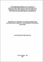 Dissertação - Wagner J. C. Sousa.pdf.jpg