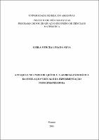Dissertação - Gerla M. L. Silva.pdf.jpg