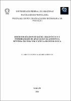 Dissertação - Eliane O. A. Ribeiro.pdf.jpg
