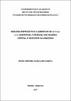Dissertação - Pedro F. Gonçalves Bisneto.pdf.jpg