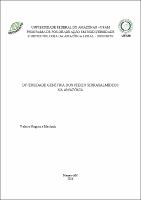 Tese - Valéria N. Machado.pdf.jpg