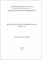 Dissertação - Lady J. R. Guerrero.pdf.jpg