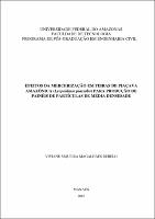 Dissertação - Viviane S. M. Rebelo.pdf.jpg