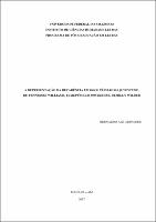 Dissertação - Bernardo Ale Abinader.pdf.jpg