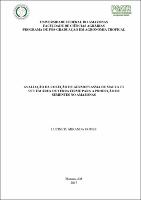 Dissertação - Lucinete M. Gomes.pdf.jpg