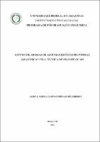 Dissertação - Aline L. C. F. Ribeiro.pdf.jpg