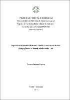 Dissertação  - Versão Final GM 03072017.pdf.jpg