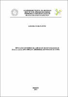 Dissertação -  Luciana da Silva Brito.pdf.jpg
