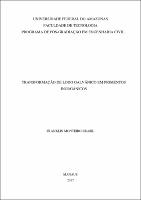 Dissertação - Franklim Brasil.pdf.jpg