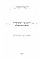 Dissertação - Antonio Saulo Cunha Machado.pdf.jpg