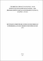 Dissertação Parcial - Cecília C.M.L. Holanda.pdf.jpg
