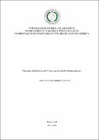 Dissertação_Abraão A. Souza.pdf.jpg