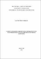 Dissertação - Luciana Onety Ramalho.pdf.jpg