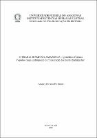 Dissertação_Amaury O. Pio Junior.pdf.jpg