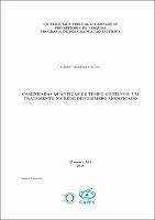 Dissertação_Cássio M. Maciel.pdf.jpg