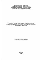 Dissertação_Júlio F. A. Flôres.pdf.jpg