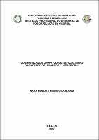 Dissertação_Naíza Abrahim.pdf.jpg