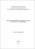 Dissertação_Hellen H. Sena.pdf.jpg