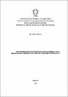 Dissertação_Bruna Borges_PPGPSI.pdf.jpg