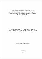 DissertaçãoParcial (Int.,Revisão, Obj.) - Serafim F. Neto - PPGCF.pdf.jpg
