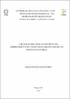 Dissertação_JoséEspíritoSantoJúnior_PPGIBA.pdf.jpg