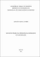 Dissertação_LeonardoSánchez_PPGEO.pdf.jpg