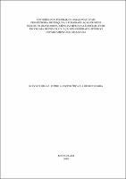 Dissertação_ThiagoOliveiraNeto_PPGEOG.pdf.jpg