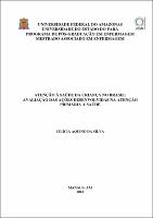 Dissertação_CilíciaSilva_PPGENF.pdf.jpg