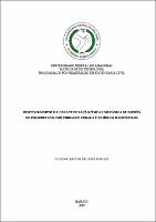 Dissertação_EugenioBorges_PPGEC.pdf.jpg
