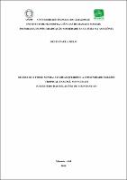 Dissertação_DeltaMelo_PPGSCA.pdf.jpg