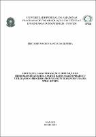 Dissertação_ÉricoSilveira_PPGCEM.pdf.jpg