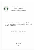 Dissertação_ElianeAraújo_PPGO.pdf.jpg