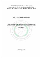 Dissertação_JoséAlbertoPinho_PPGCA.pdf.jpg