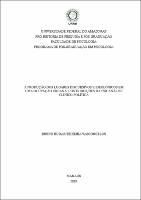 Dissertação_BrunoVasconcelos_PPGPSI.pdf.jpg