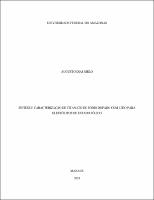 Dissertação_AugustoMelo_PPGCEM.pdf.jpg