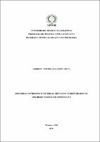 Dissertação_AndrezaSilva_PPGPSI.pdf.jpg