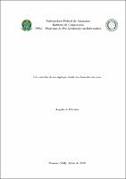 Dissertação_AngelodeOliveira_PPGI.pdf.jpg