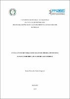 Dissertação_IzauraNogueira_PPGCEM.pdf.jpg
