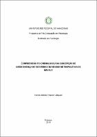 Dissertação_CarlosVásquez_PPGPSI.pdf.jpg
