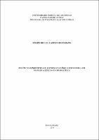 Dissertação_FelipeHeufemann_PPGL.pdf.jpg