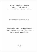 Dissertação_IgorGonçalves_PPGEO.pdf.jpg