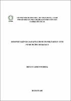 Dissertação_RenatoPereira_PPGCF.pdf.jpg