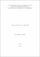 Dissertação_DaviMisturini_PPGM.pdf.jpg