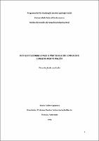 Dissertação_BrunoCaporrino_PPGAS.pdf.jpg