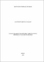 Dissertação_LúcioCavalcanti_PPGD.pdf.jpg