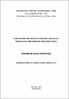 Dissertação_RossineRodrigues_PPGL.pdf.jpg
