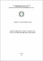 Dissertação_ArmirysGarcía_PPGEC.pdf.jpg