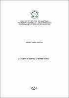 Dissertação_MárcioCamillo_PPGL.pdf.jpg