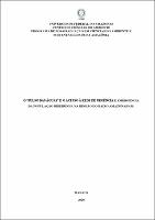 Dissertação_IziSantos_PPGCASA.pdf.jpg