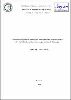 Dissertação_CamiladaCosta_PPGCEM.pdf.jpg